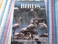 Encyclopedia of animals-birds