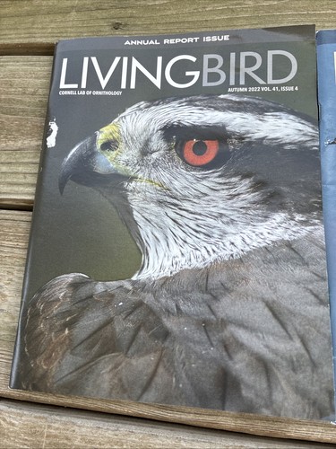 Lot living bird - of,