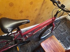 Dunlop Sport Bike, used but with a flat tire, decent condition otherwise.