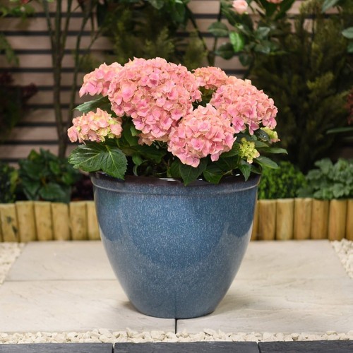 Garden gear glazed effect - garden,