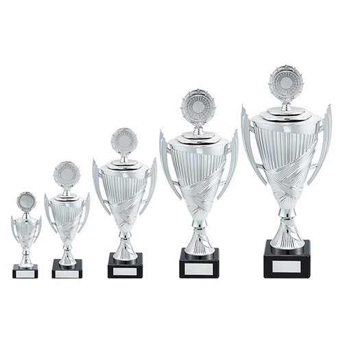 Silver cup award personalised - cup,