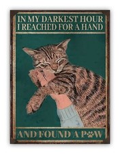 Cat " In My Darkest Hour " Aluminium Metal Wall Sign Pet Kitchen