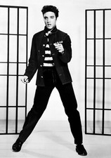 Large elvis presley - a3,