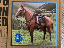 DID DRAGON IN DREAMS 1/6 SCALE E60082 BROWN-RED HORSE(STANDING) NEW