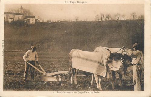 The basque country team - the,