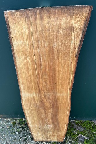 Live edge beech - beech, wood