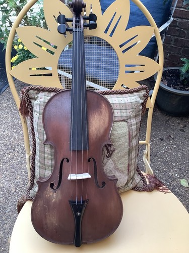 Old bull violin with - old,