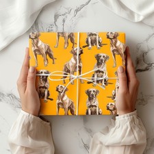 Labrador Retriever Dog