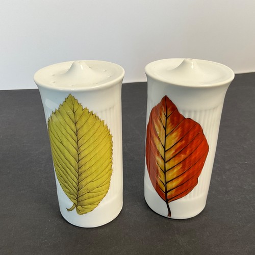 Royal worcester wild harvest - wild,