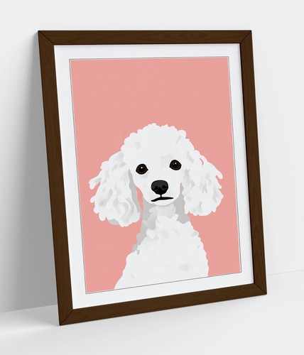 White poodle dog - white,