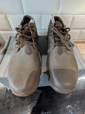 Caterpillar Brown intent