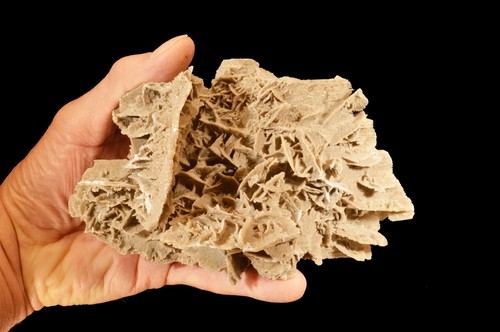 Desert sand rose - 4", oz