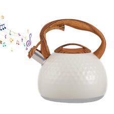 3L Stove Top Kettle Stainless