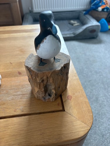 Archipelago razorbill - razorbill, 8”