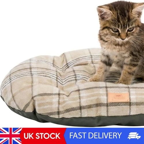 Cat bed dog - cat,