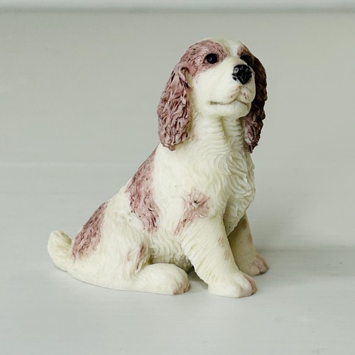 Cavalier king charles spaniel - cavalier,