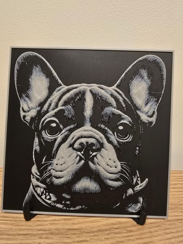 French bulldog frenchie - frenchie, puppy