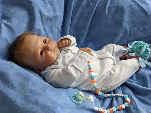 Merriebabies reborn rooted