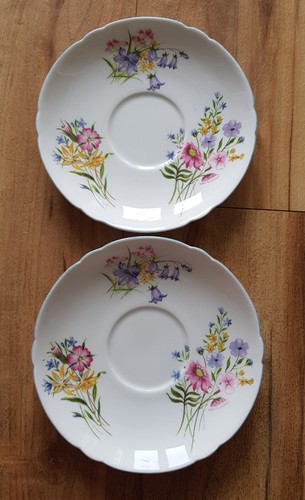 Shelley fine bone - bone, china