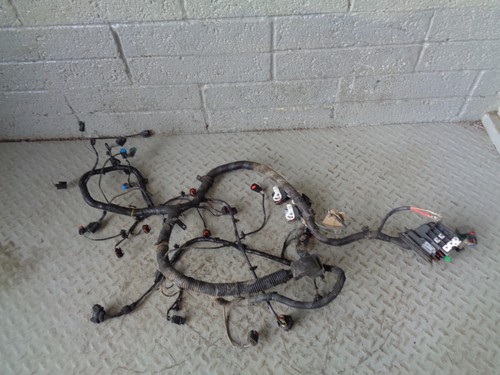 Freelander engine loom - freelander, 2