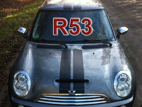 Viper stripes sticker rally - stripes,