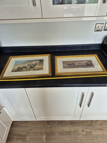 Pair mick cawston sausage - mick,