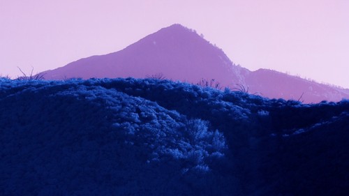 Infrared converted canon 60d - infrared,