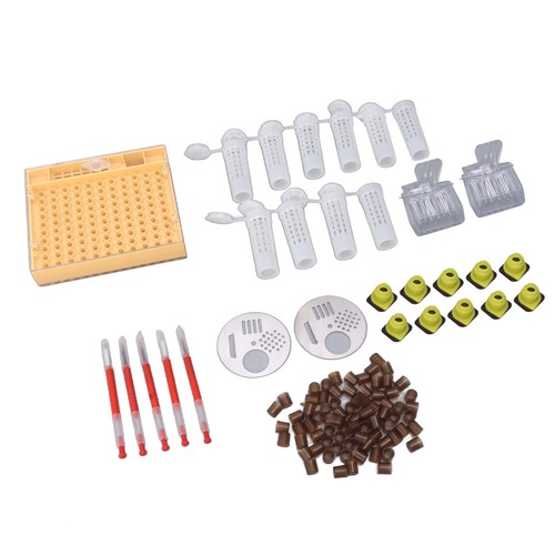 Queen bee rearing box - queen,