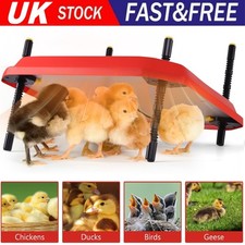 12"x12" Chick Brooder Heating
