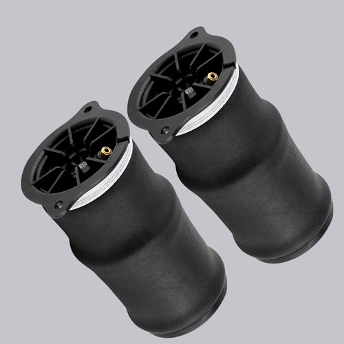 Pair rear air spring bag - pair,