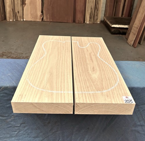 Swamp ash piece - 2,