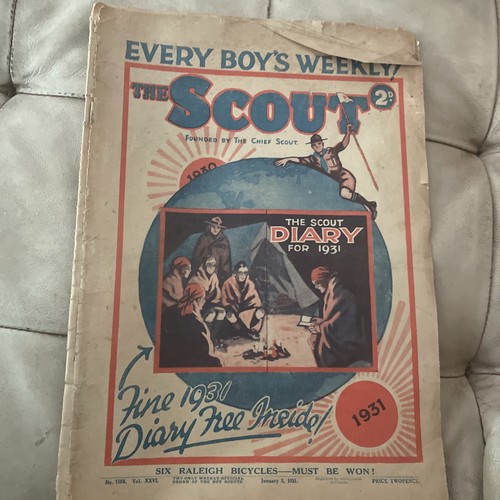The scout boys - scout,