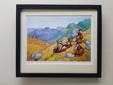 Loon Cartoon Shooting / Deer