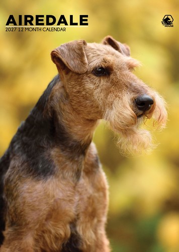 Airedale calendar 2027 cc - airedale,