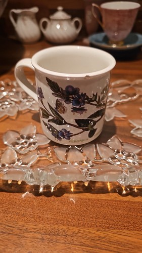 Portmeirion botanic garden mug - garden,