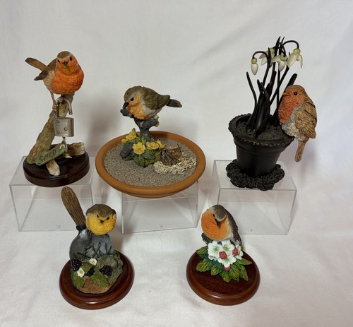 Bundle five robin - bundle, bird