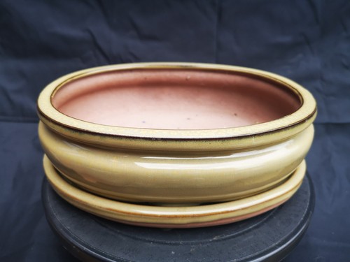 Glazed oval bonsai pot - oval,