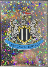 Topps Premier League 2014 - #