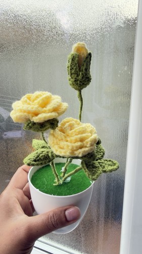 Crochet handmade roses pot - crochet,