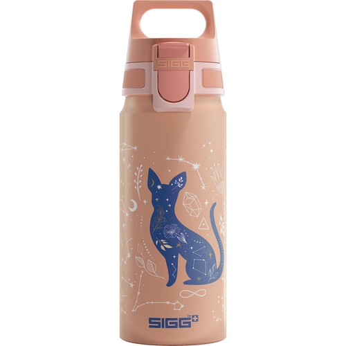 Sigg aluminum water bottle - sigg,