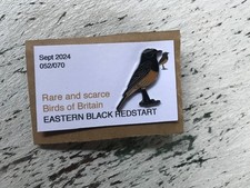 RSPB Interest EASTERN BLACK REDSTART  SGW enamel BIRD pin badge  limited 