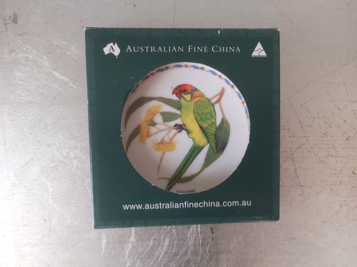 Sara attanasio lorikeet parrot - sara,