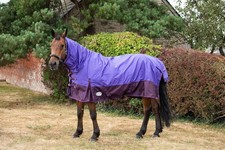 Outdoor Winter Turnout Horse Rug 100gsm Combo Full Neck Purple/Plum 5'6-6'9