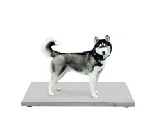 103 CM 500 KG Large Platform Pet Scale Animal Weighing Pig Goat Scale with Plug