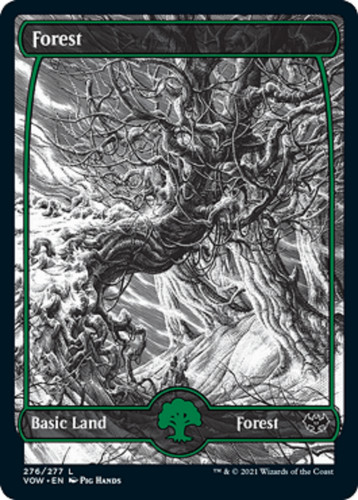 Mtg magic the gathering - the,