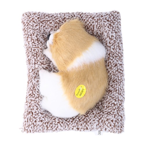 Realistic sleeping dog - sleeping,
