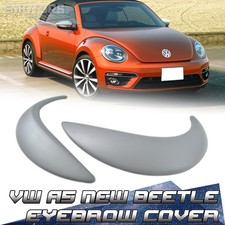 Painted Eyelids Eyebrow