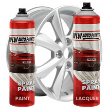 Aerosol Spray Paint Can FOR
