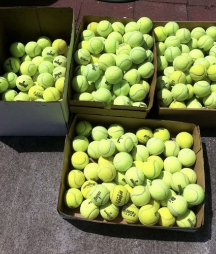 Used tennis balls - 50,
