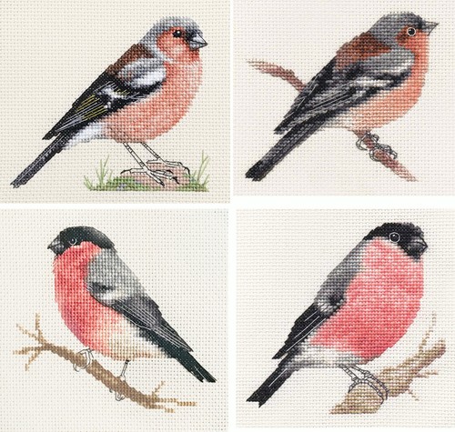 Chaffinch bullfinch bird - chaffinch,,